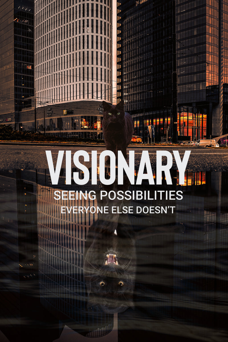 Visionary Canvas
