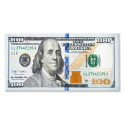100 DOLLAR BILL