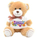Custom Teddy Bear - Vizionaryfocus Top Shelf 